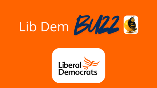 The Lib Dem Buzz podcast logo