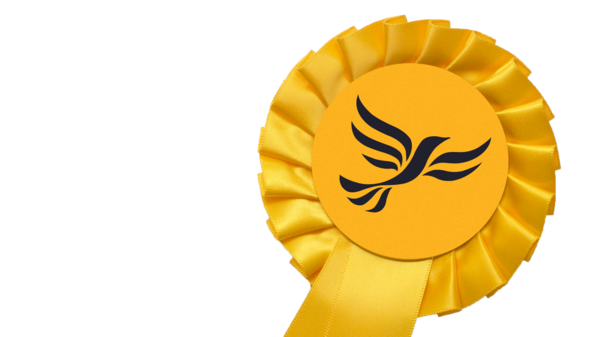 Lib Dem Rosette.